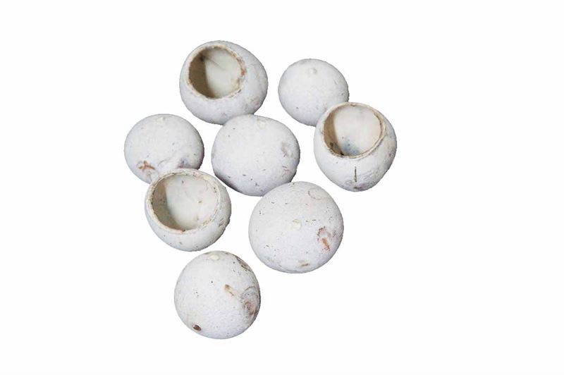 Kuchipal stone washed wit100 st