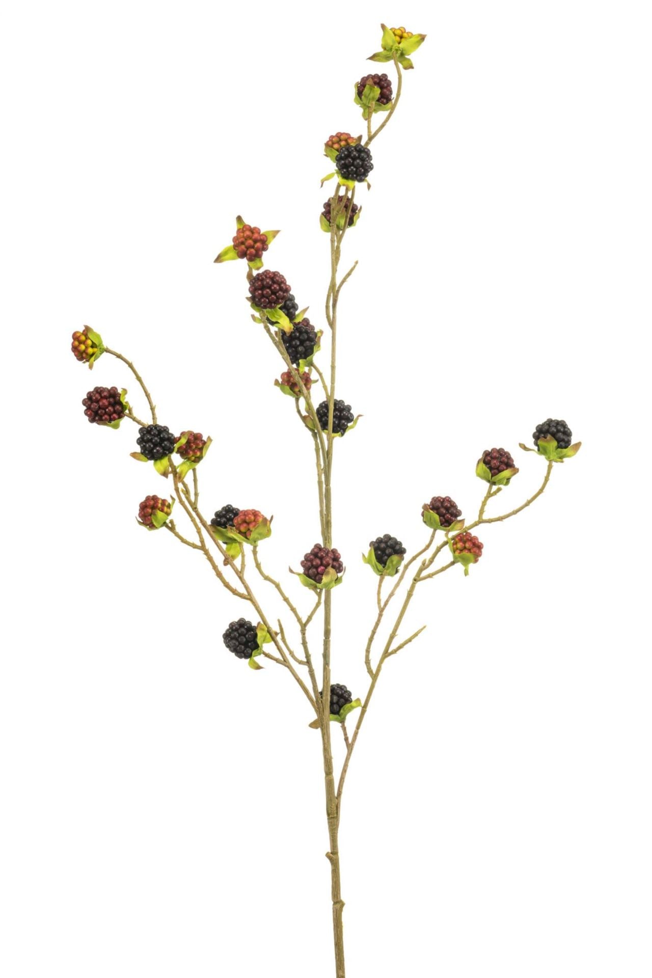 Blackberry spray red/black 100cm