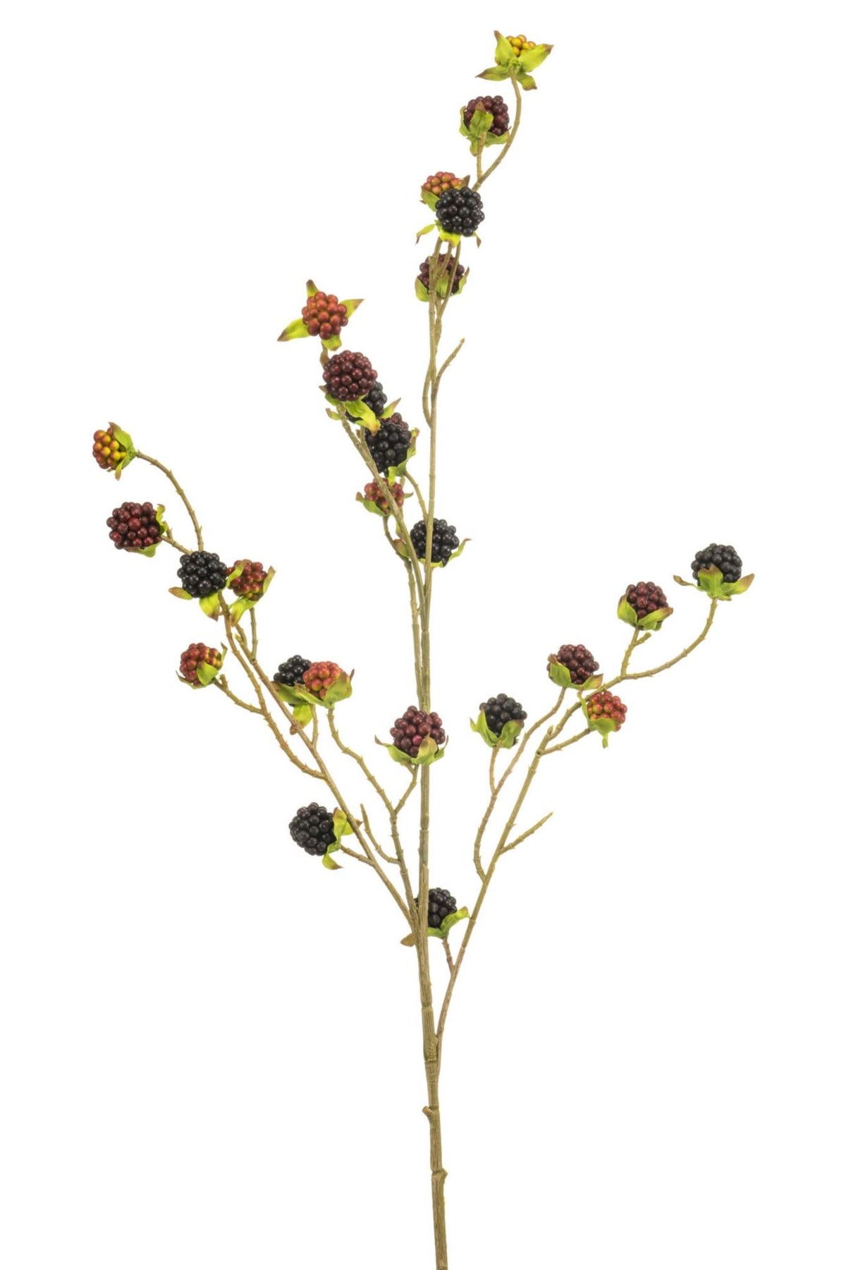 Blackberry spray red/black 100cm