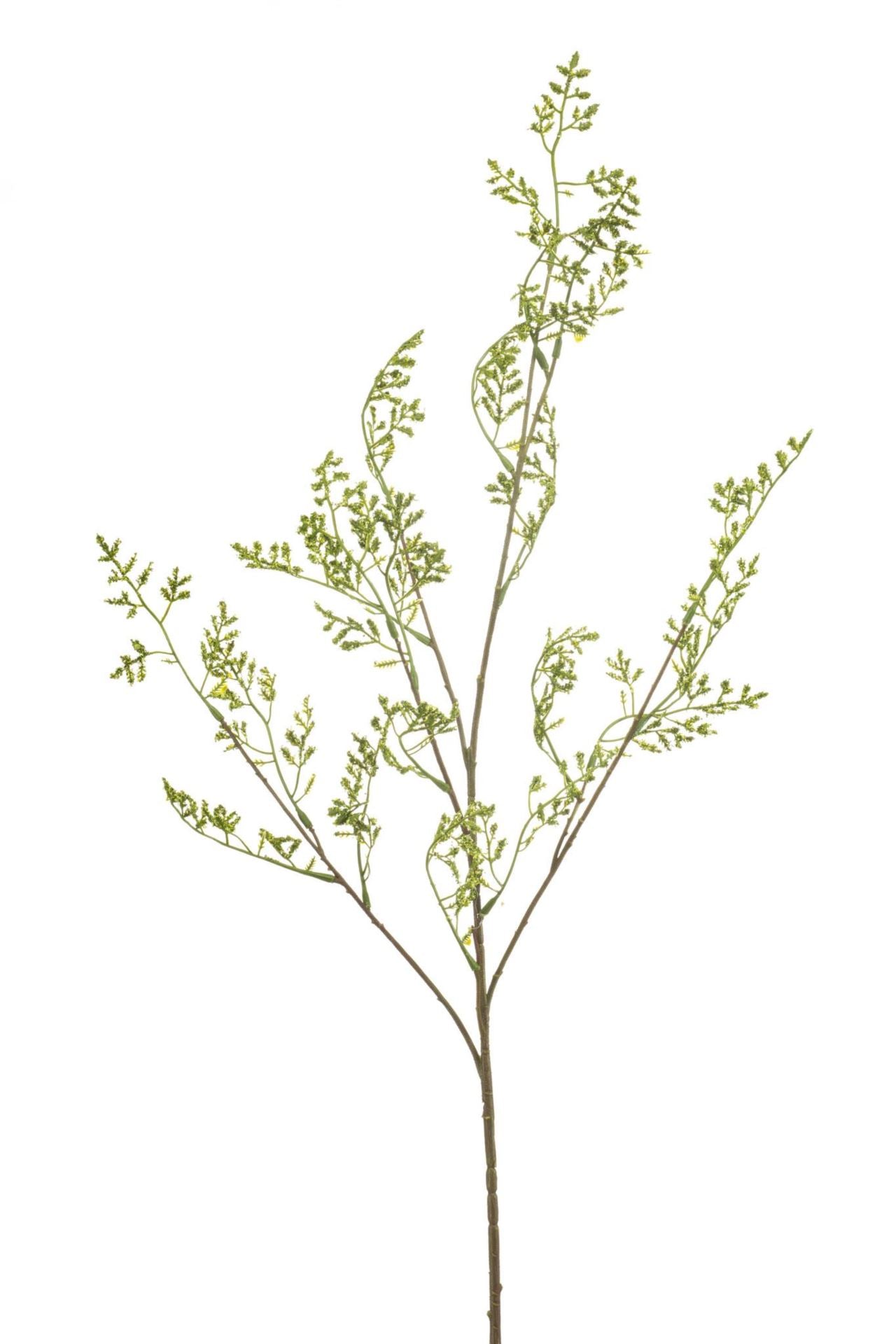 Achillea spray green 100cm