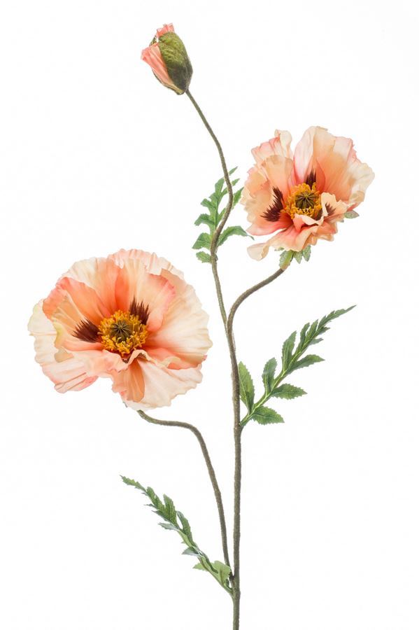 Poppy spray peach 90cm