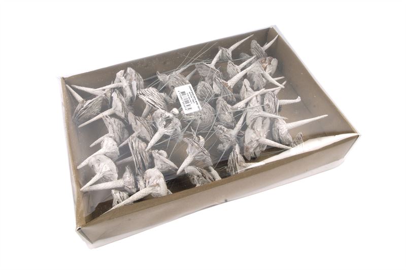 Cederbasis o/dr. stone washed wit40