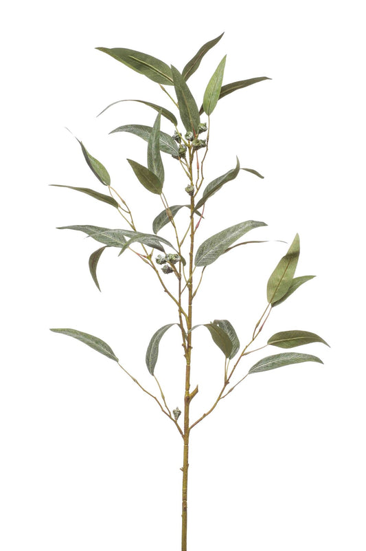 Eucalyptus spray w pods 90cm