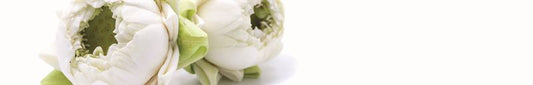 Condoleance Lotus a 20 stuks Blanco