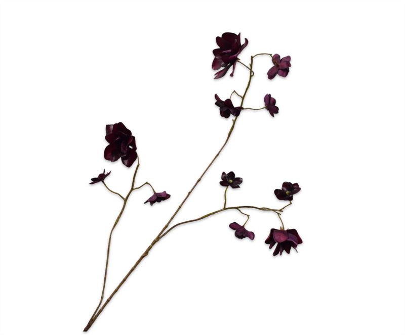 HORTENSIA TAK BORDEAUX RT