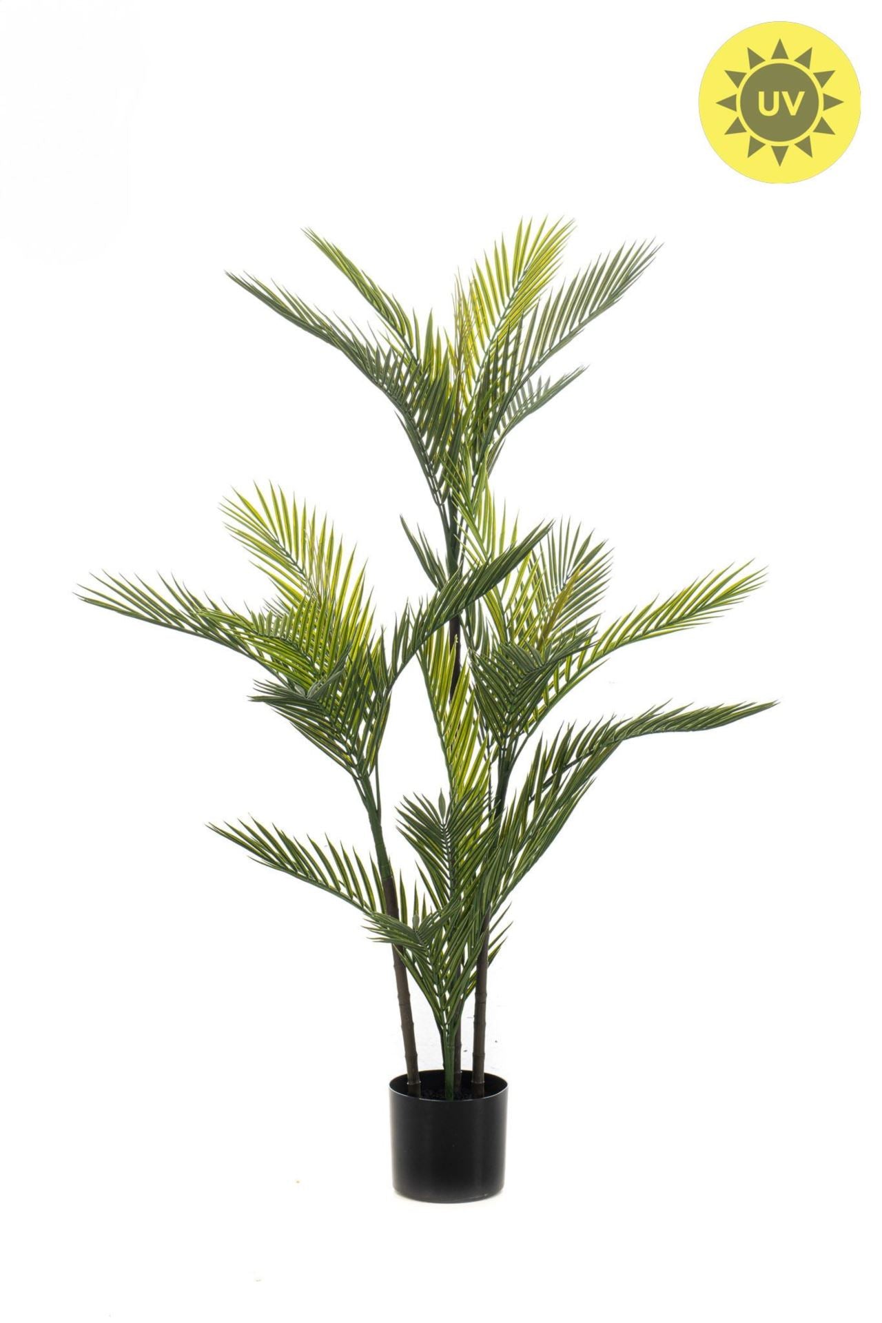 Palm UV 120cm