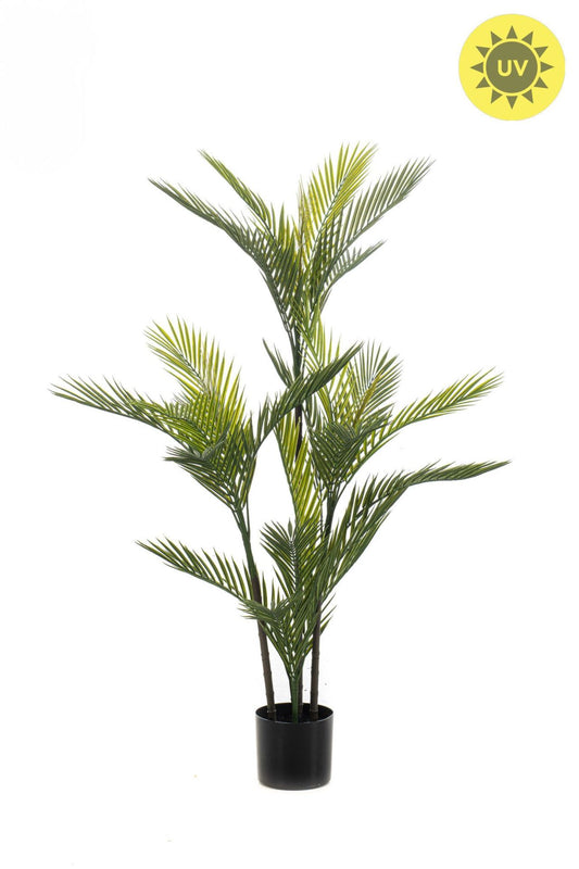Palm UV 120cm