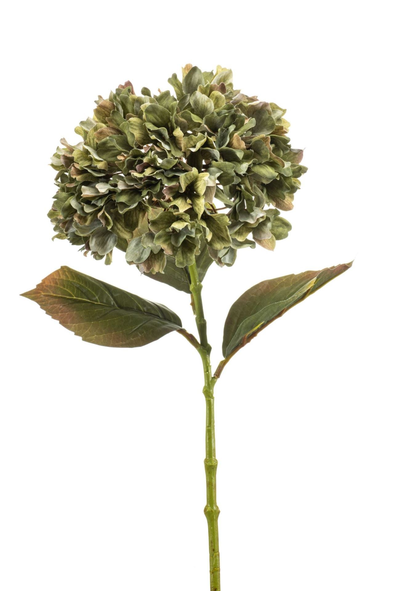 Hydrangea spray green 75cm