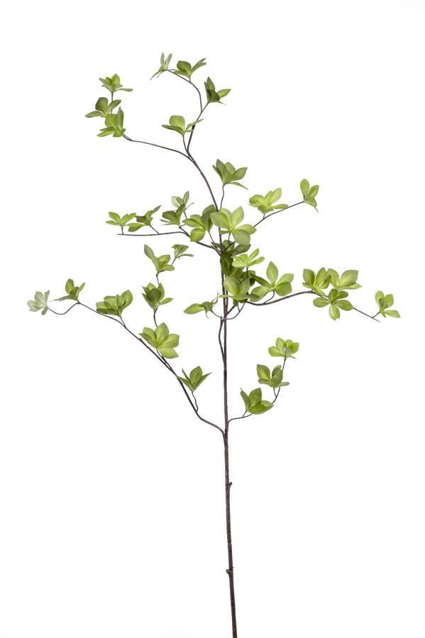 Cornus leaf spray lt green 115cm
