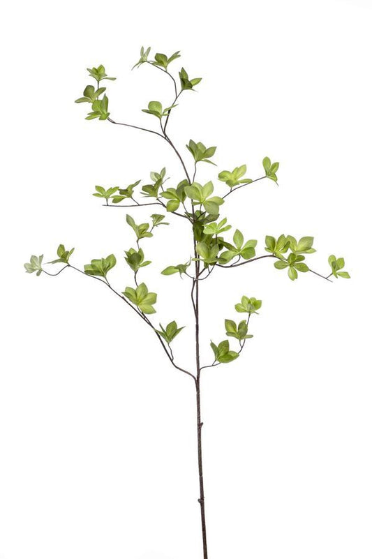 Cornus leaf spray lt green 115cm