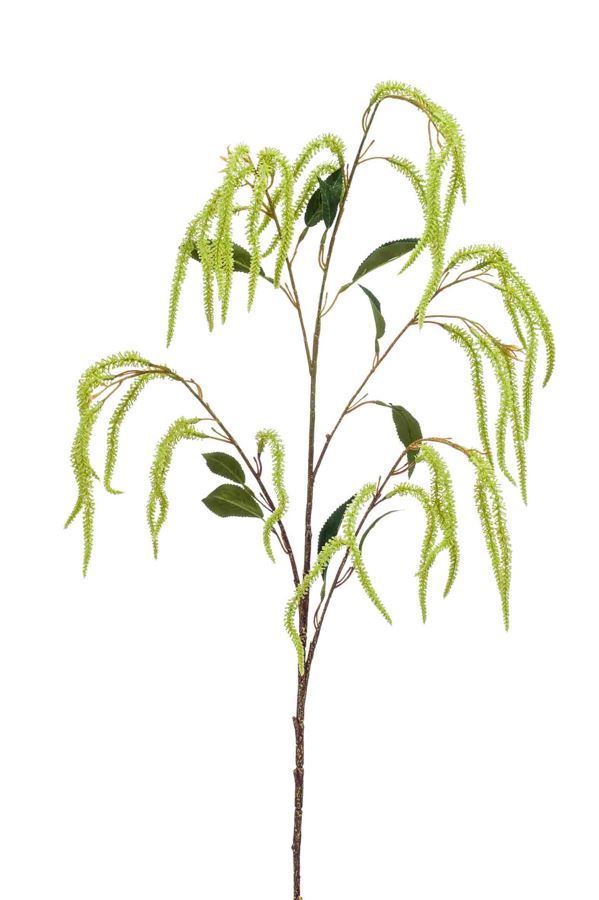 Amaranthus spray green 100cm