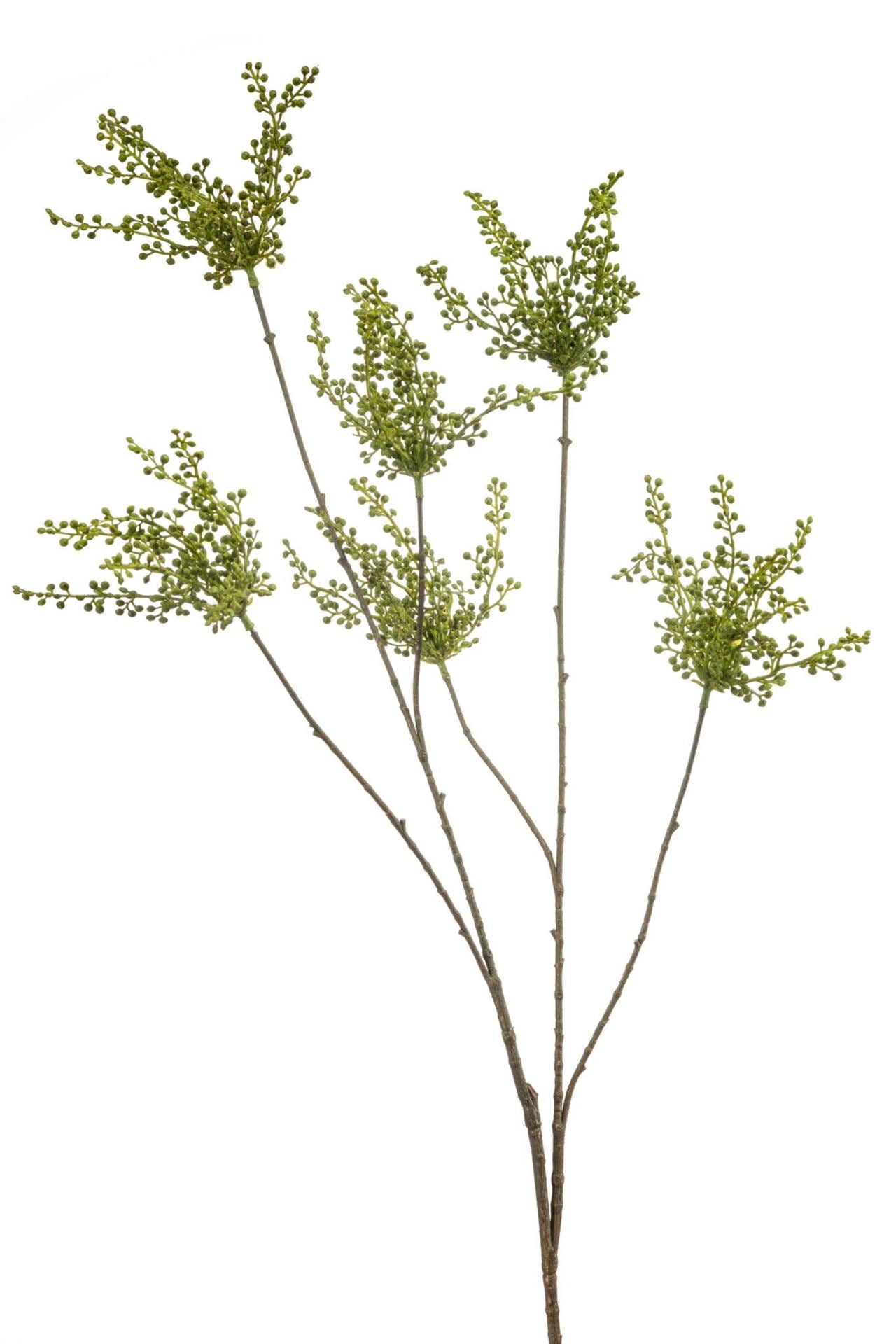 Berry spray green 120cm