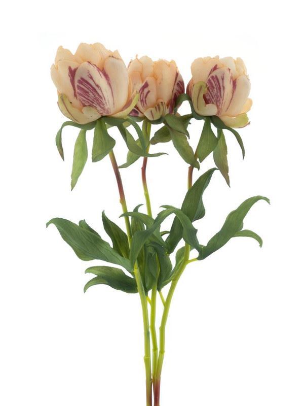 Paeony Marlie 3 pcs peach 48cm