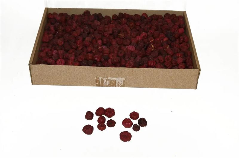 Putka pods rood 450gr.