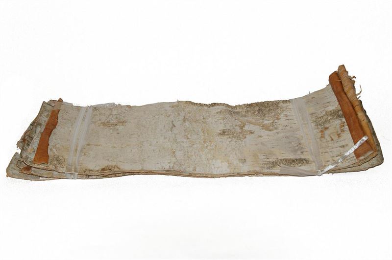 Schors berk 24x70 cm naturel wit5 s