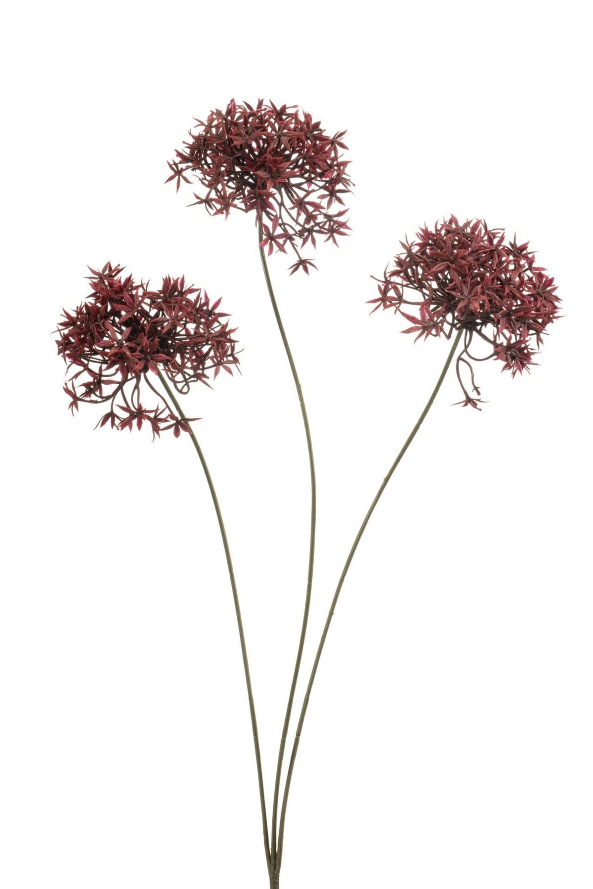 Allium spray burgundy 62cm