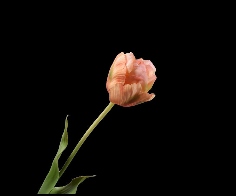 TULP STEEL PZK/GRN 66 cm
