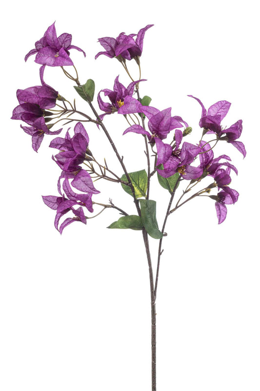 Bougainvillea spray purple 68cm