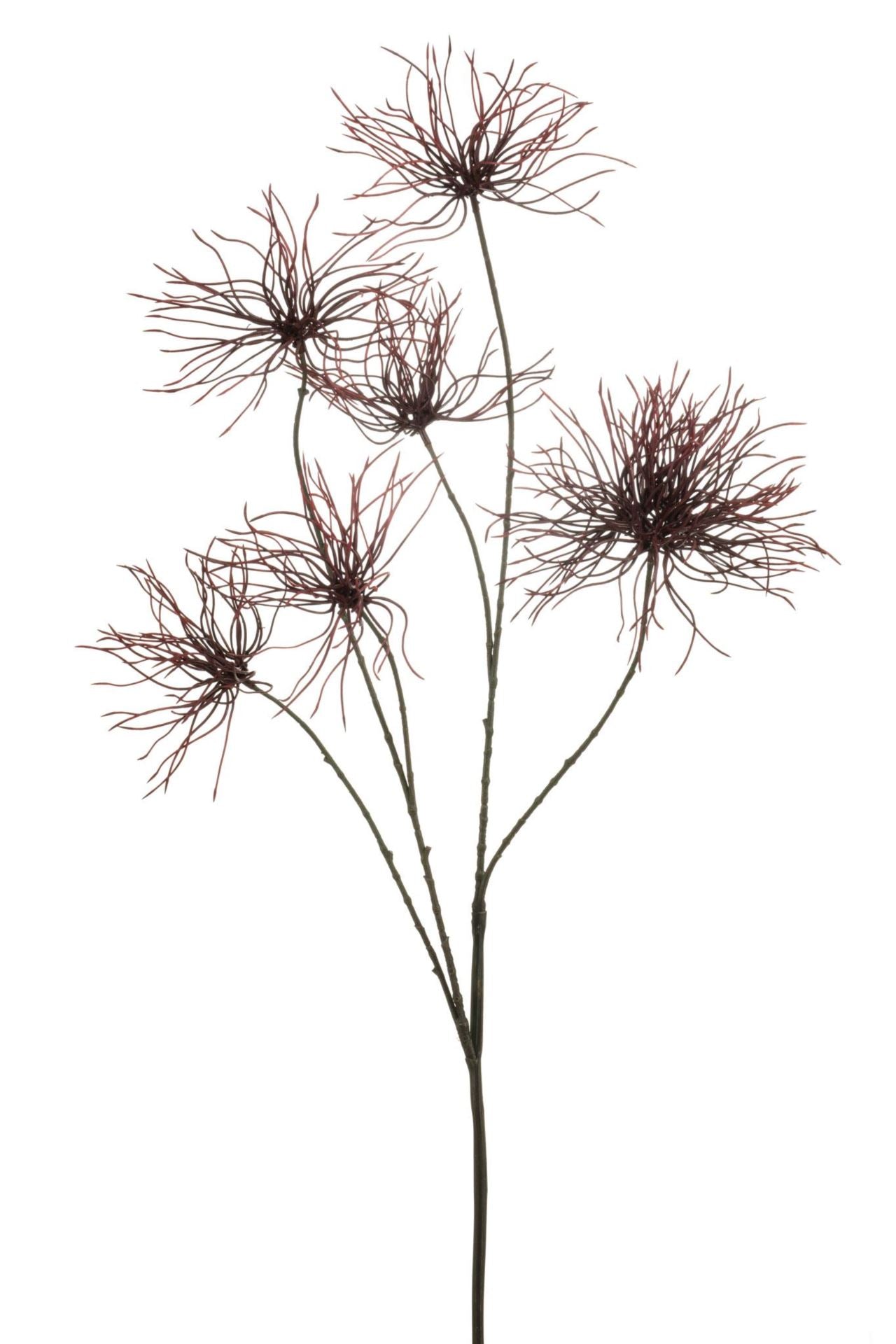 Anemone seed spray burgundy 110cm