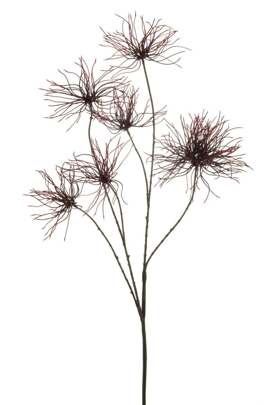 Anemone seed spray burgundy 110cm
