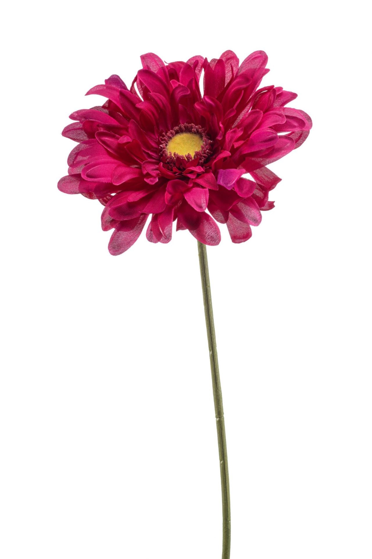 Gerbera spray beauty 80cm