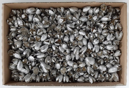 Bakuli platina