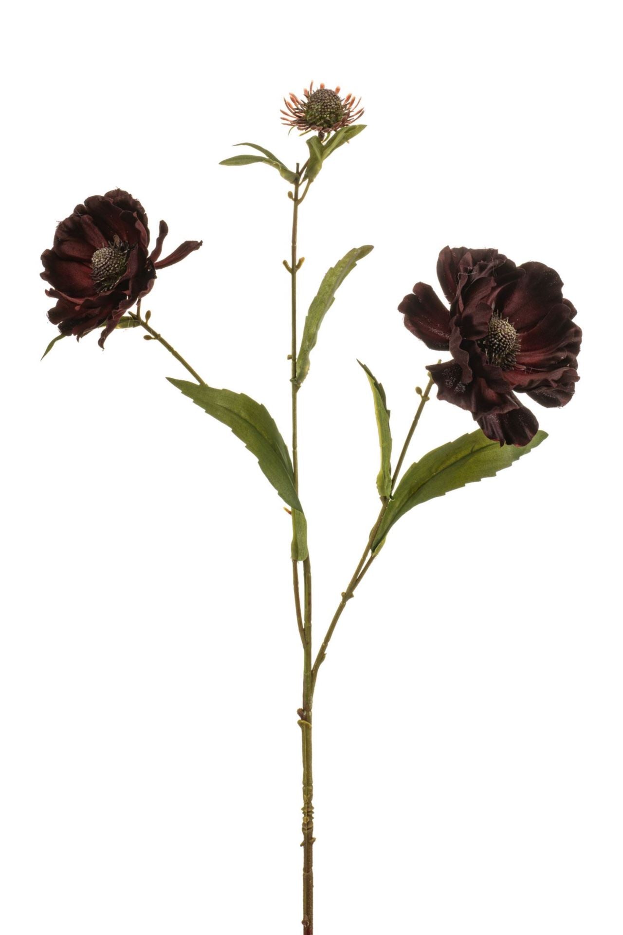 Aster spray burgundy 76cm