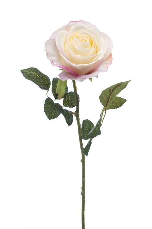 Rose sil tak 67cm wit/roze 24/ds