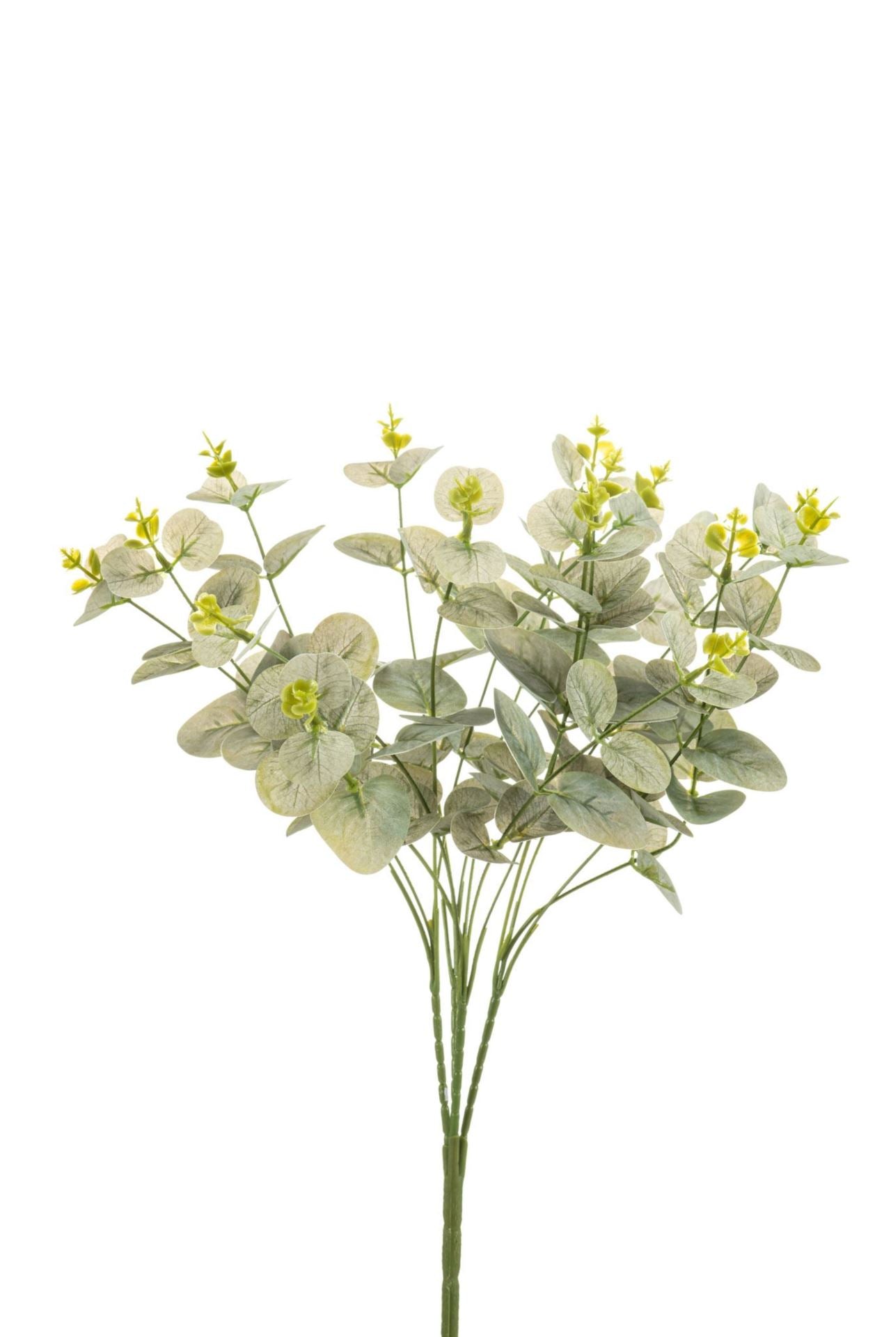 Eucalyptus bush grey/green 47cm