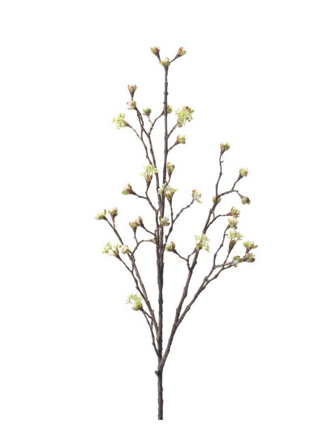 Maple fruit spray cream 110cm