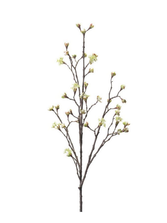 Maple fruit spray cream 110cm