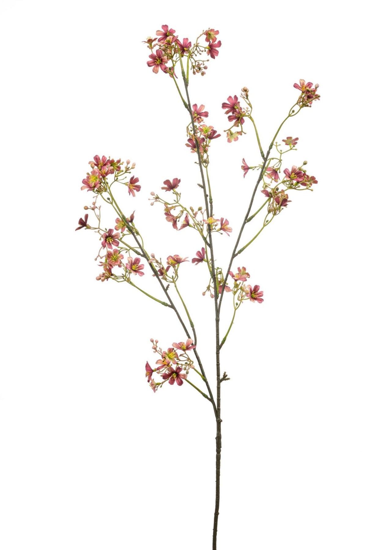 Daphne spray old pink 105cm