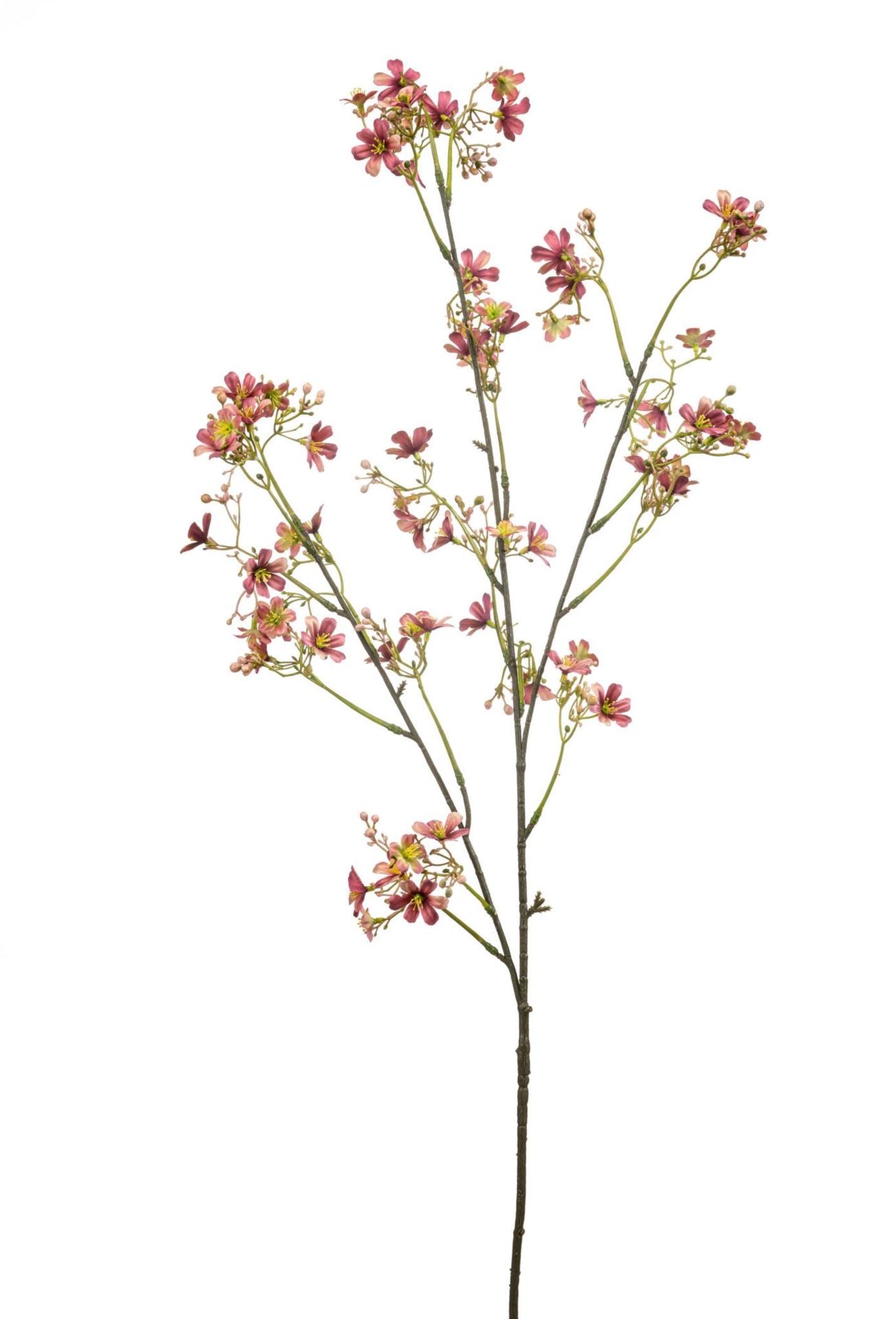 Daphne spray old pink 105cm
