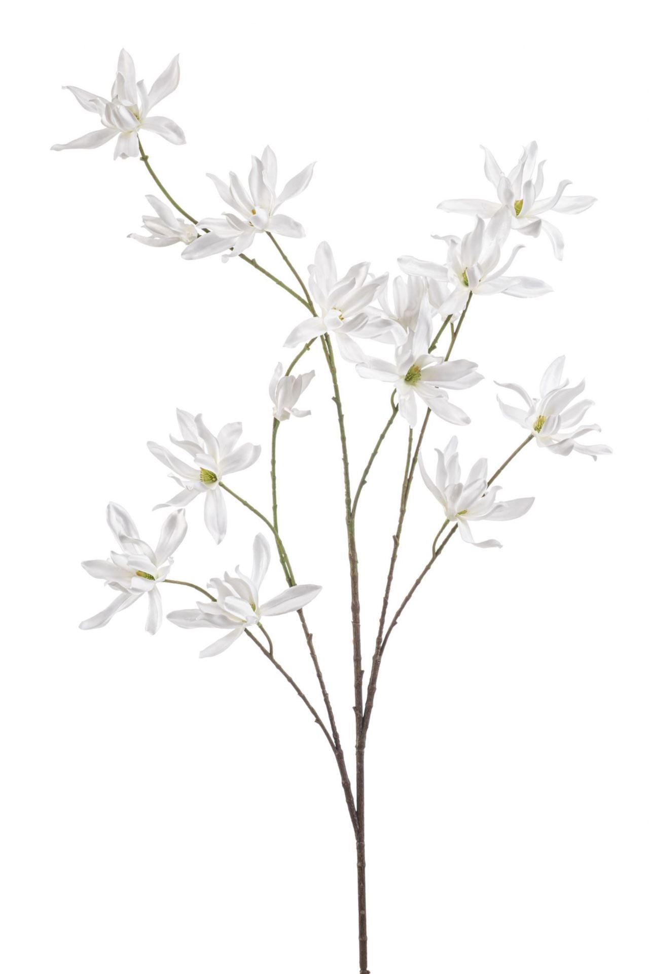 Magnolia spray white 122cm