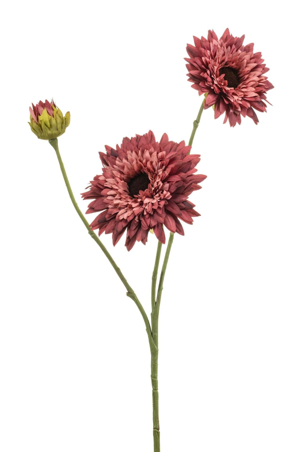 Helianthus spray mauve 70cm