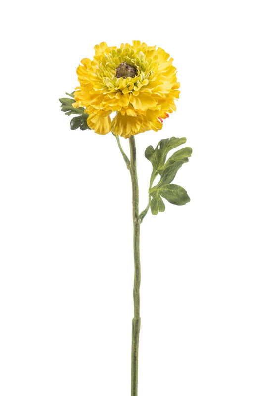 Ranunculus spray yellow 60cm