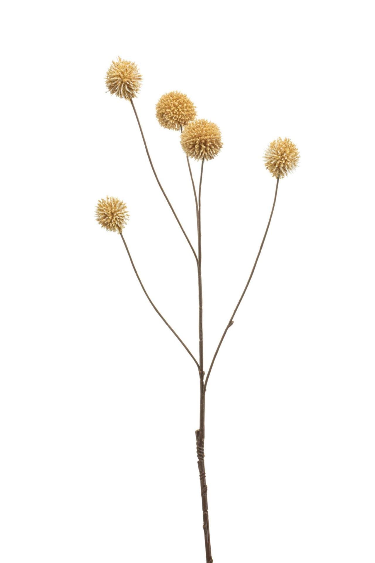 Eryngium spray beige 70cm