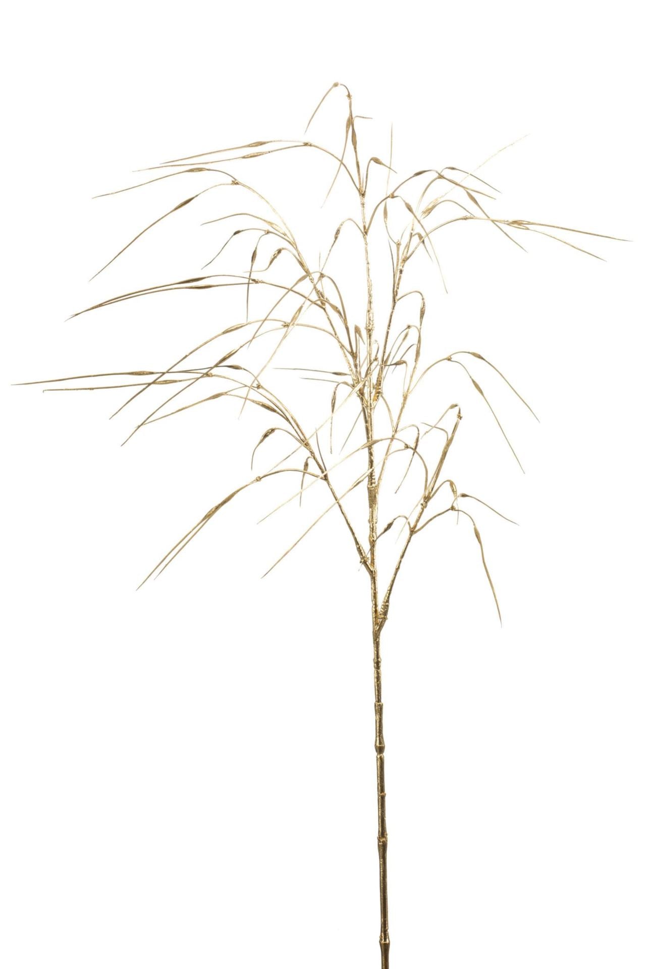 Stipa spray gold 75cm