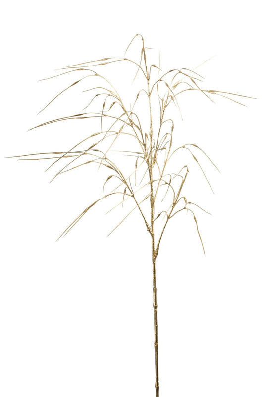 Stipa spray gold 75cm