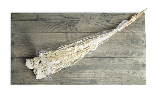 Rice flower gepreserveerd gebleekt
