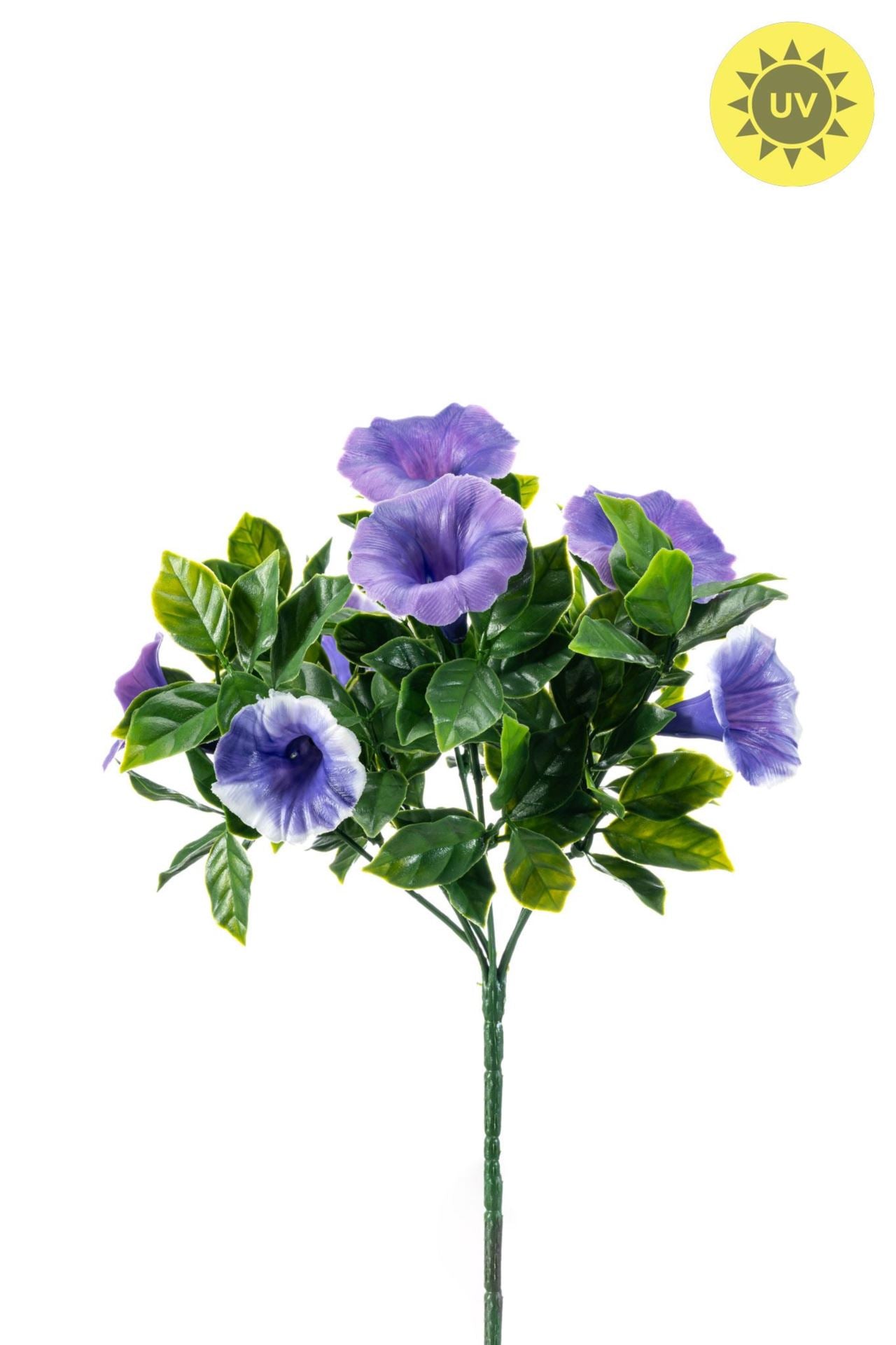 Petunia bush UV purple 27cm