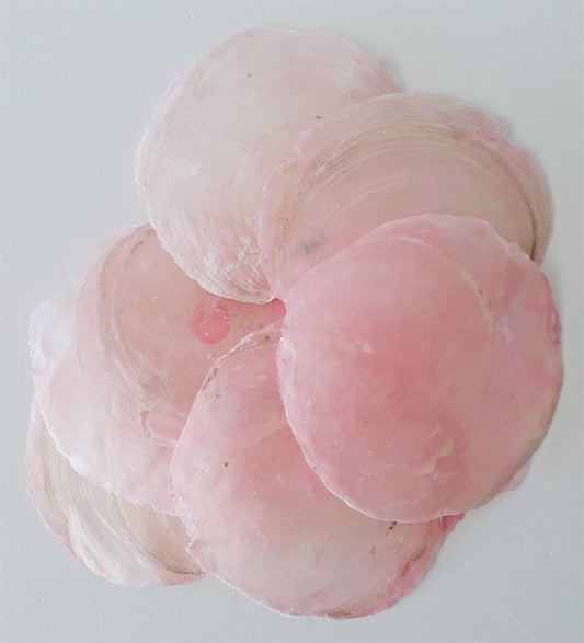 Schelpen capiz abaca net l.roze1 kg