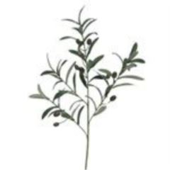 Olive spray Flexa 75cm