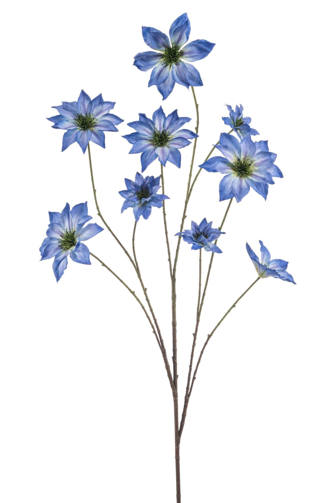 Clematis spray blue 125cm