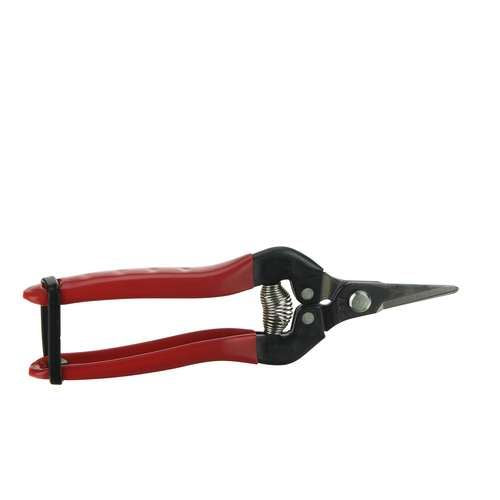 Fruitschaar korte bek 5x17x1cm rood