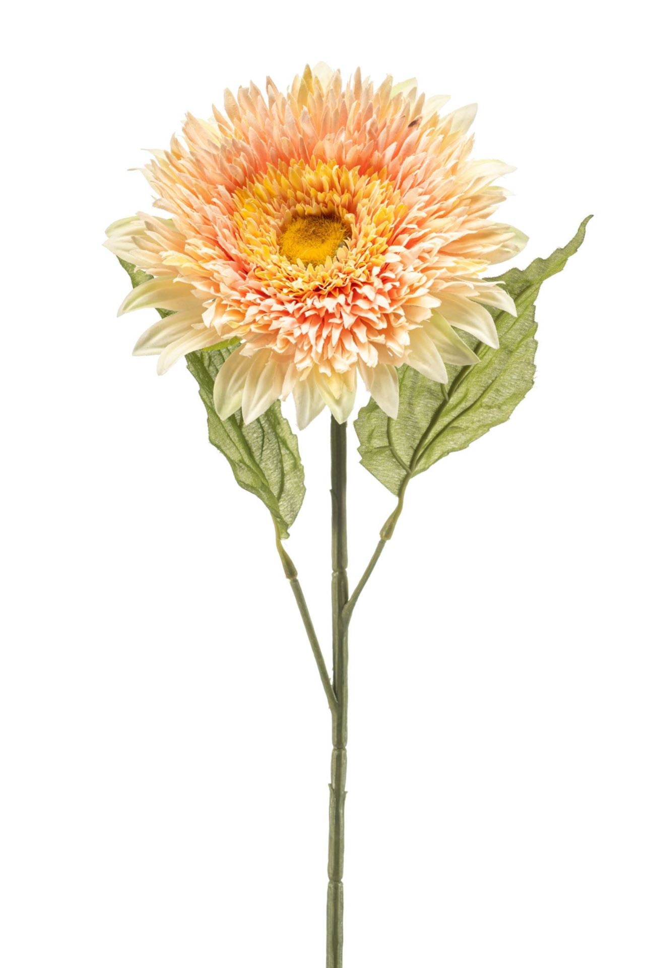 Helianthus spray peach 65cm