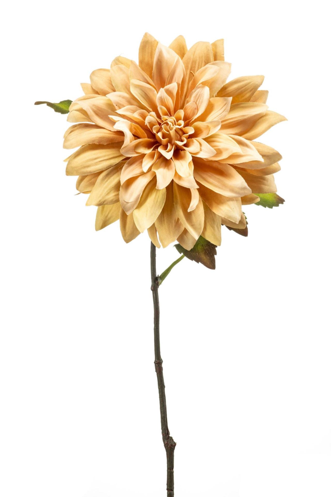 Dahlia spray peach 55cm