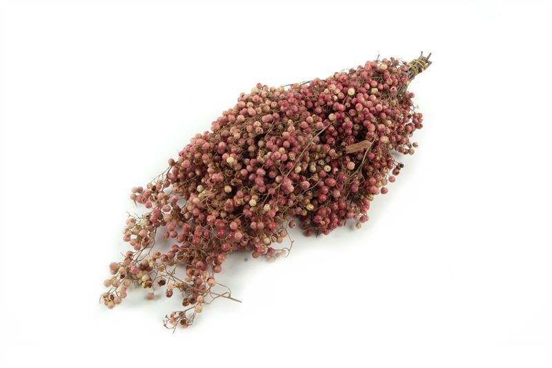 Pepper berry naturel
