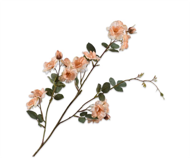 ROOS TAK PZK LT 86cm