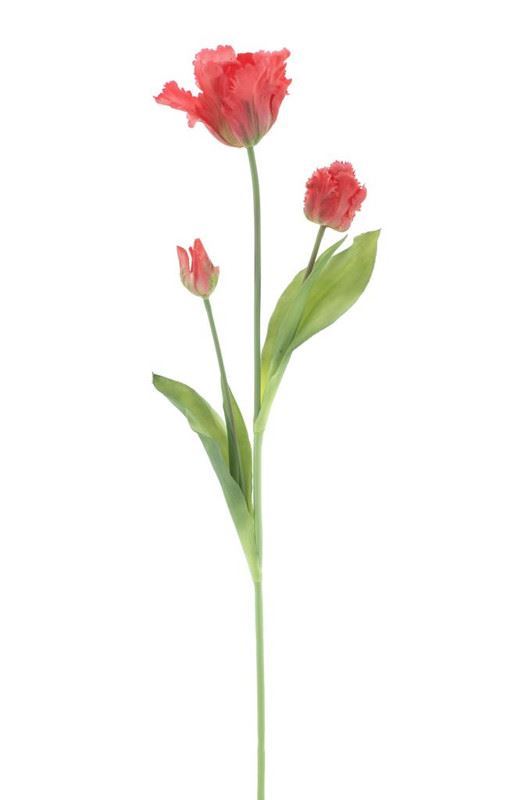 Parrot tulip spray Sally red 71cm